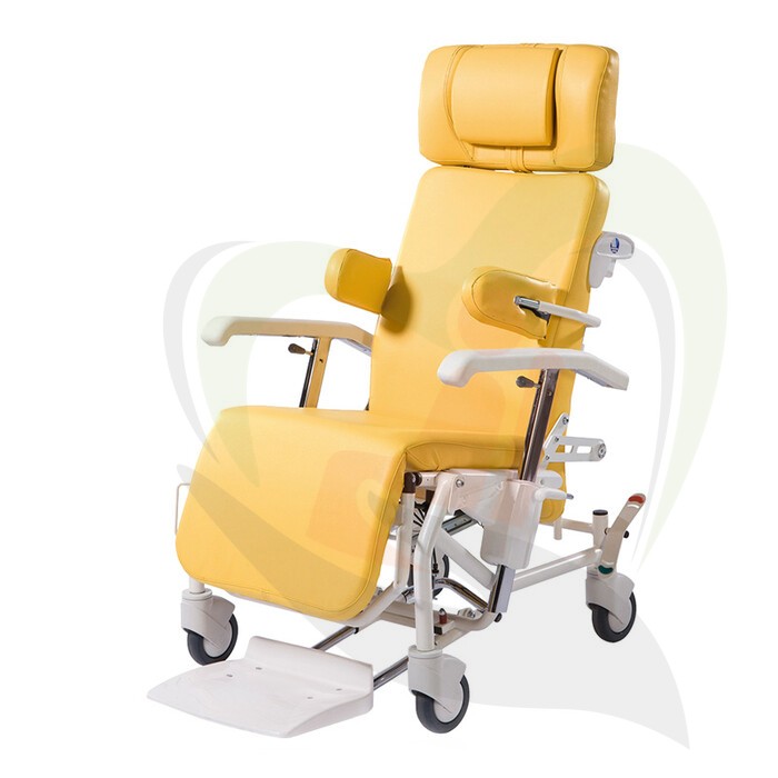 Alesia geriatrische rollende stoel