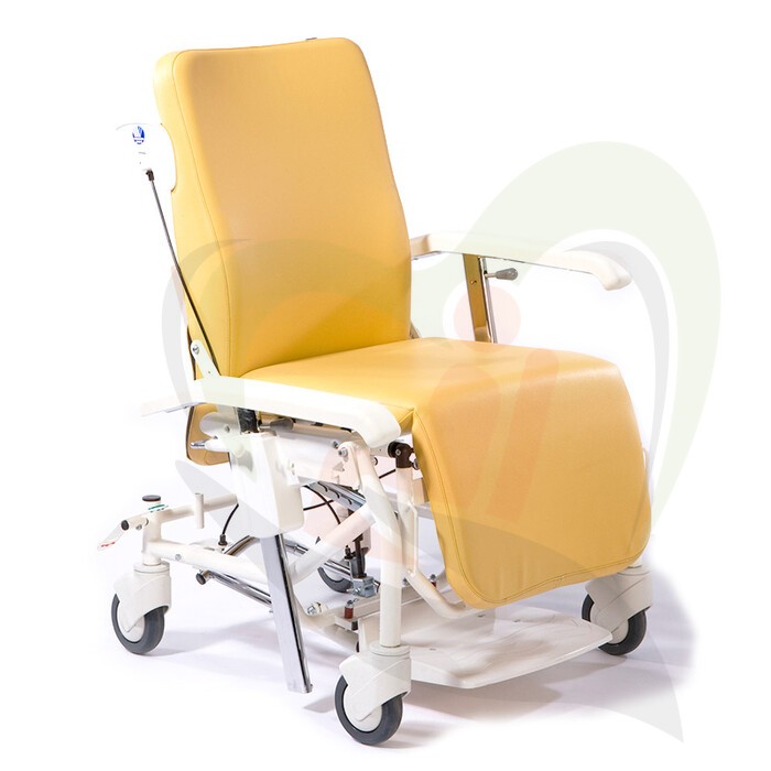 Alesia geriatrische rollende stoel