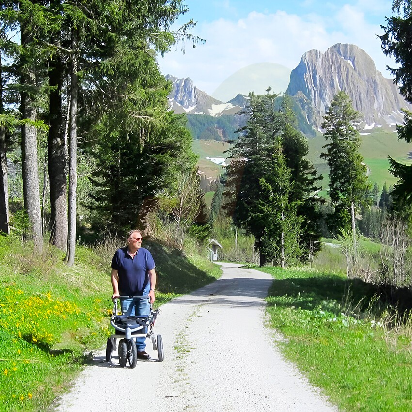 Rollator Trionic Veloped 14er